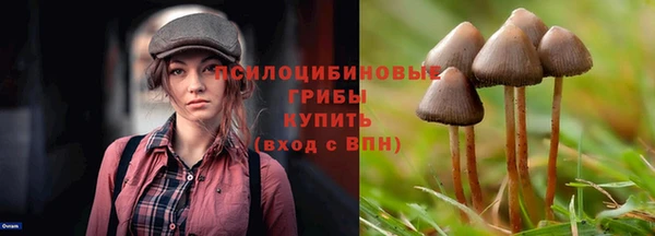 spice Армянск