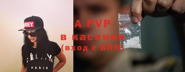 эйфоретик Аркадак