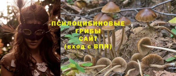 не бодяженный Арсеньев