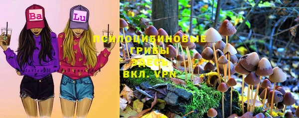 эйфоретик Аркадак