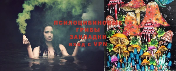 spice Армянск