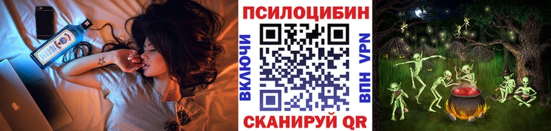 наркота Свирск Галлюциногенные грибы Psilocybine cubensis